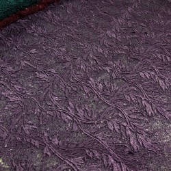 Δαντέλα Γκιπούρ (ΜΩΒ)